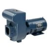 Pentair Sta-Rite D Series Cast Iron Pump 230V, 3 HP 2 Pentair Sta-Rite D Series Cast Iron Pump 230V, 3 HP -Harris Shop 4096 a sq