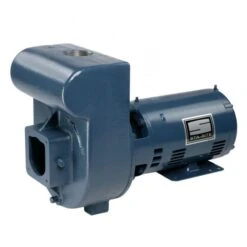 Pentair Sta-Rite D Series Cast Iron Pump 230V, 3 HP