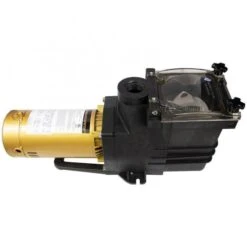Doheny's Pool Pro Plus Inground Pump, 1.5 HP 115/230V -Harris Shop 90555 b2020 1