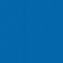 SR Smith Frontier III Replacement Diving Board, 10 Ft, Blue