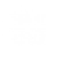 SR Smith Fibre-Dive Replacement Diving Board, 8 Ft, White